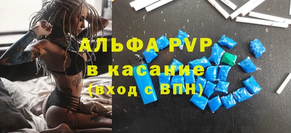 ГАЛЛЮЦИНОГЕННЫЕ ГРИБЫ Покровск